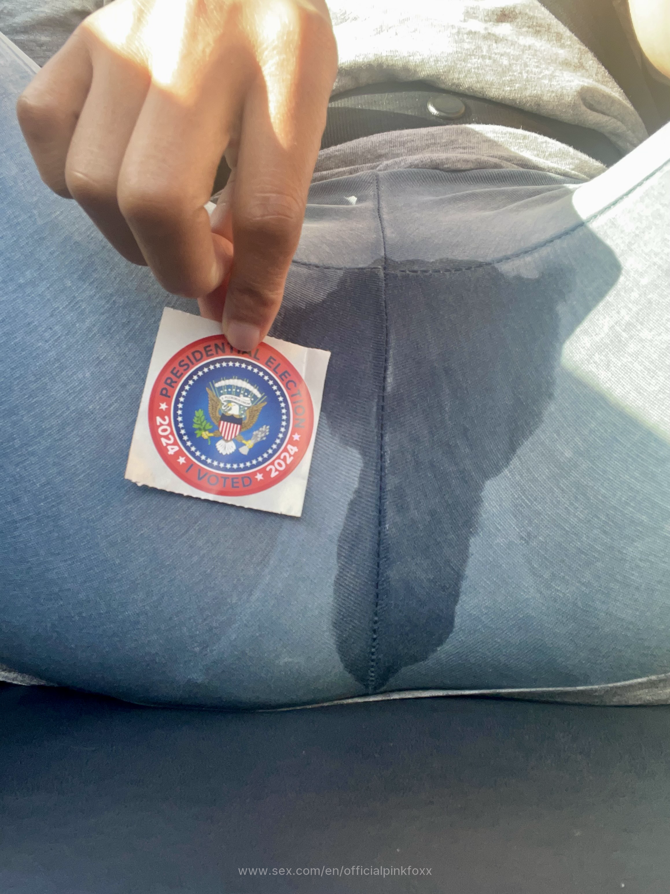 Voting Makes Me Wet