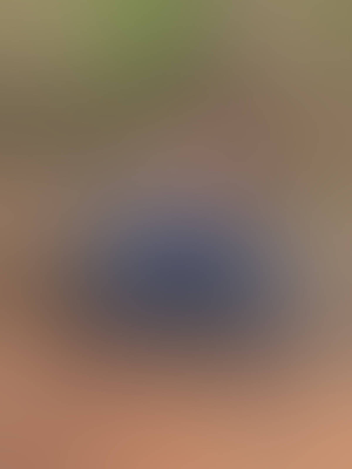 Showing Off The Neighbors