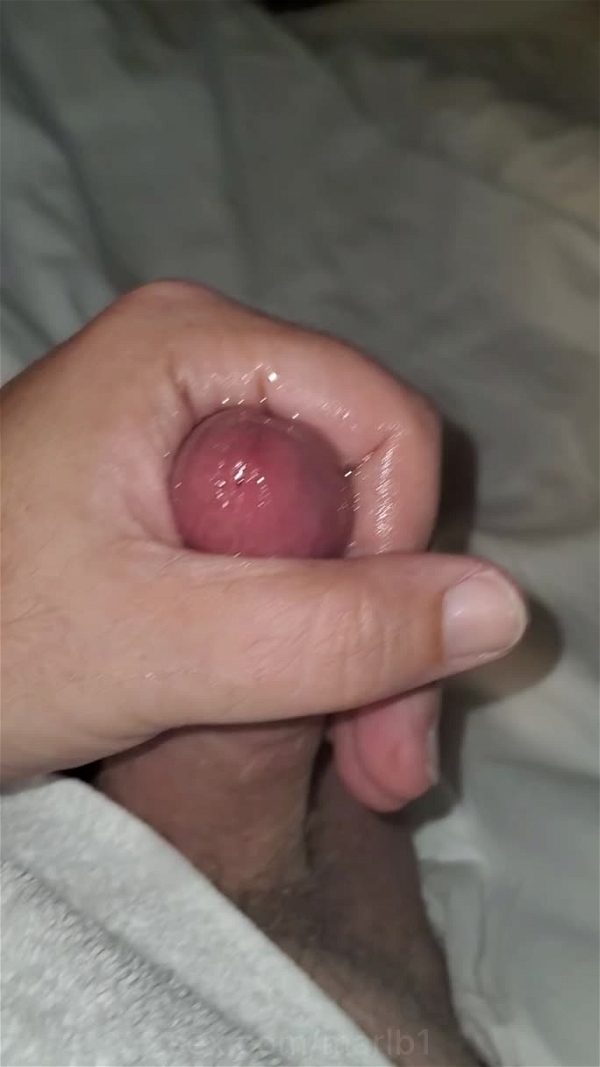 Marlb1 Im Leaking Precum Dick Masturbation Hard Cock Cock Out